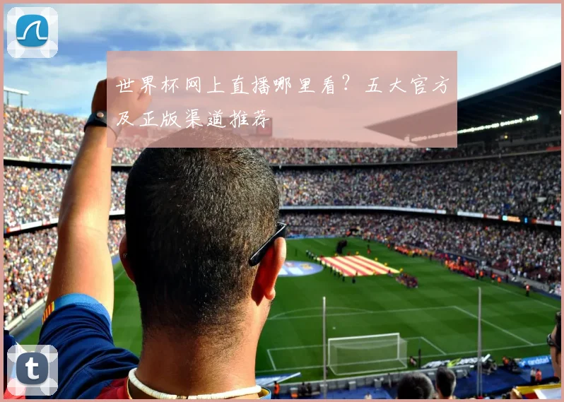 世界杯网上直播哪里看？五大官方及正版渠道推荐
