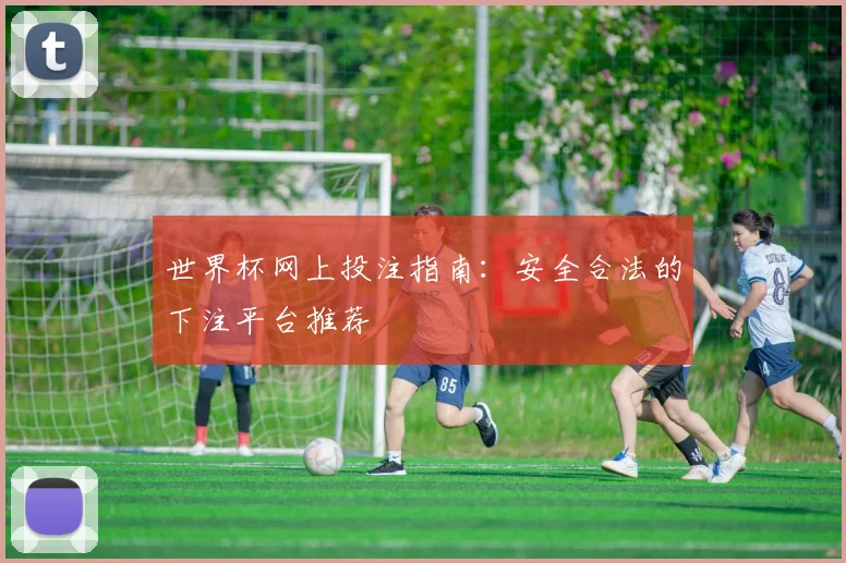 世界杯网上投注指南：安全合法的下注平台推荐