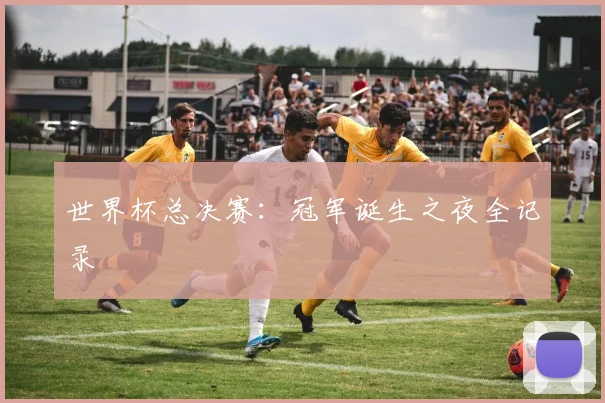 世界杯总决赛:冠军诞生之夜全记录