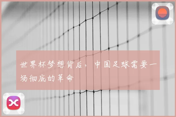 世界杯梦想背后，中国足球需要一场彻底的革命