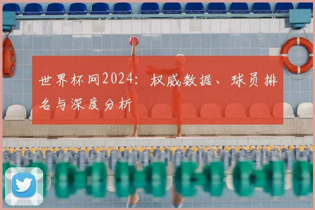 世界杯网2024：权威数据、球员排名与深度分析