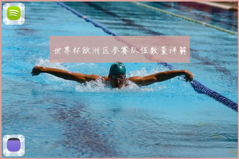 世界杯欧洲区参赛队伍数量详解