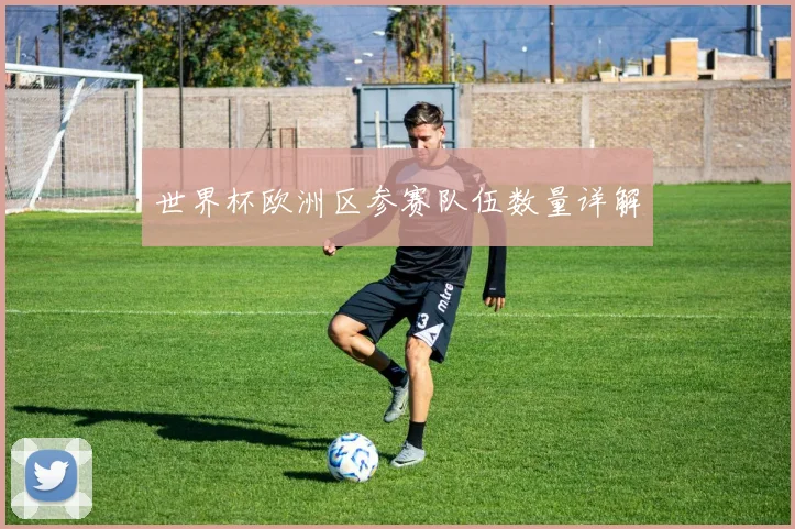 世界杯欧洲区参赛队伍数量详解