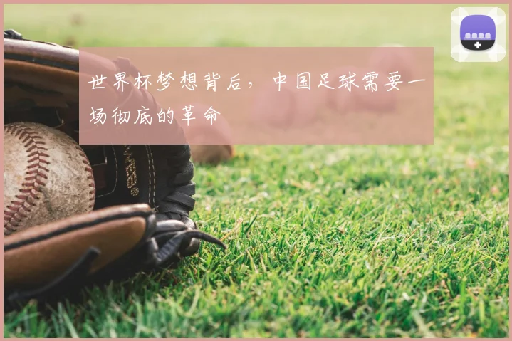 世界杯梦想背后，中国足球需要一场彻底的革命