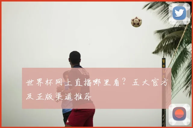 世界杯网上直播哪里看？五大官方及正版渠道推荐